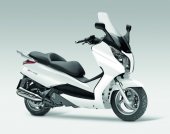 2010 Honda S-Wing 125 photo